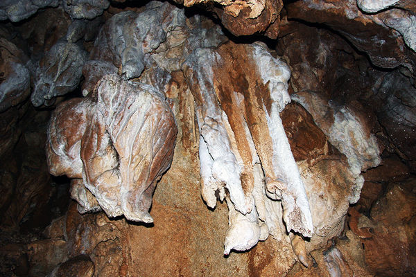 Clicca per vedere l'immagine alla massima grandezza