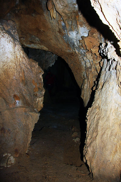 Clicca per vedere l'immagine alla massima grandezza