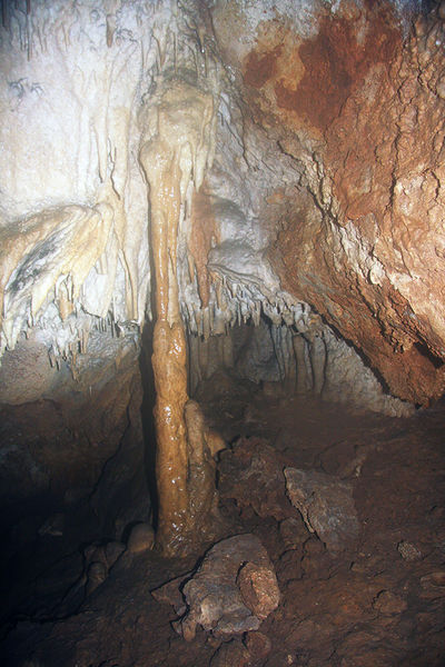 Clicca per vedere l'immagine alla massima grandezza