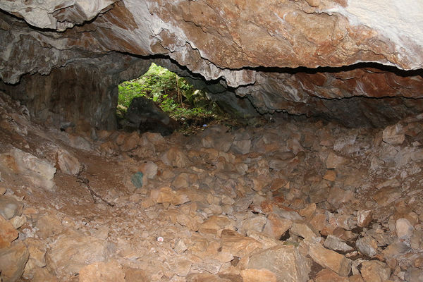 Clicca per vedere l'immagine alla massima grandezza