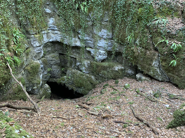 Clicca per vedere l'immagine alla massima grandezza