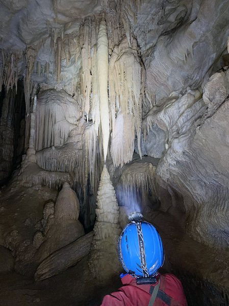 Clicca per vedere l'immagine alla massima grandezza