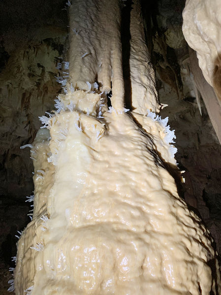 Clicca per vedere l'immagine alla massima grandezza