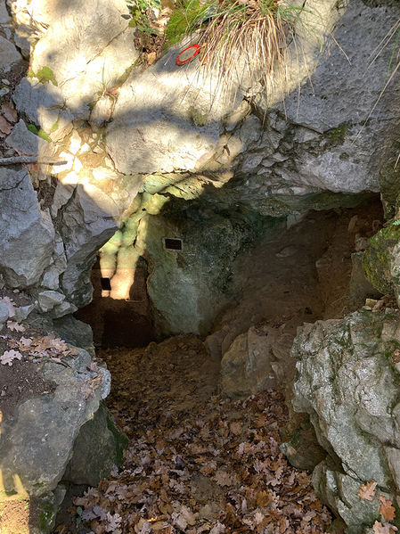 Clicca per vedere l'immagine alla massima grandezza