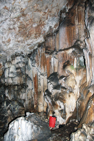 Clicca per vedere l'immagine alla massima grandezza