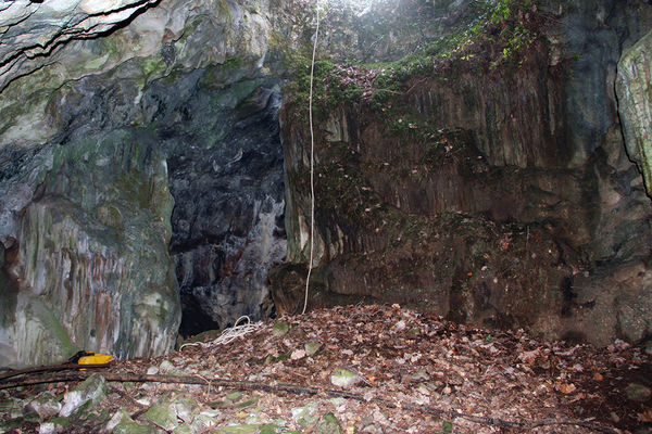 Clicca per vedere l'immagine alla massima grandezza