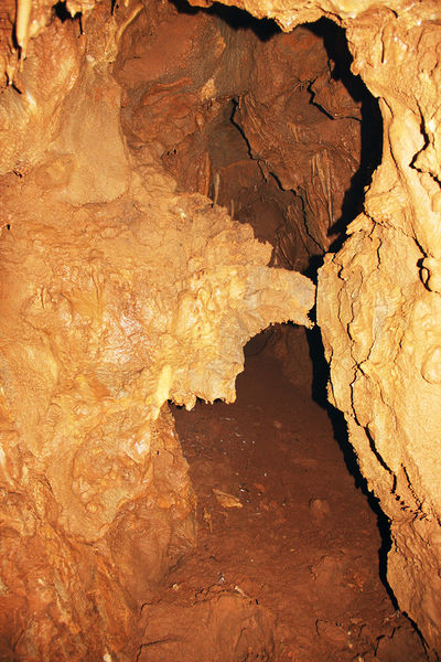 Clicca per vedere l'immagine alla massima grandezza