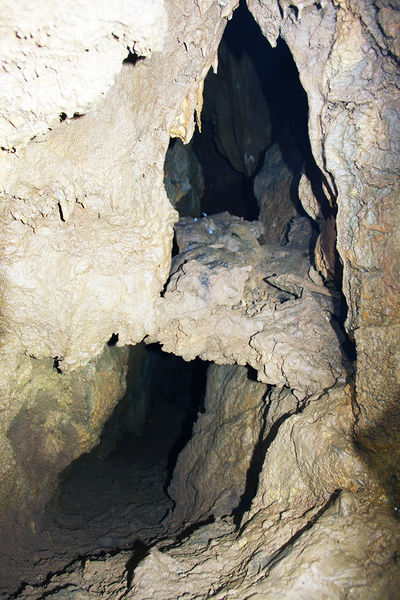 Clicca per vedere l'immagine alla massima grandezza