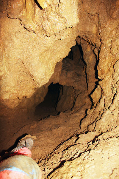 Clicca per vedere l'immagine alla massima grandezza