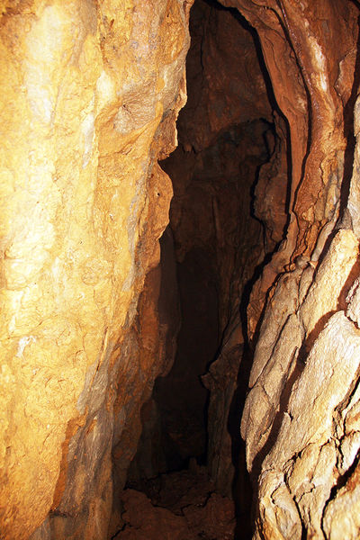 Clicca per vedere l'immagine alla massima grandezza