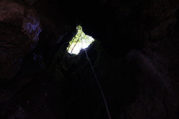 Clicca per vedere l'immagine alla massima grandezza