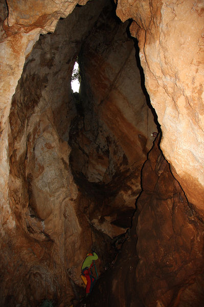 Clicca per vedere l'immagine alla massima grandezza