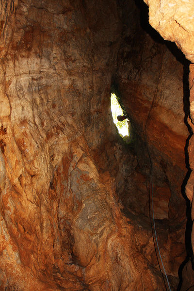 Clicca per vedere l'immagine alla massima grandezza