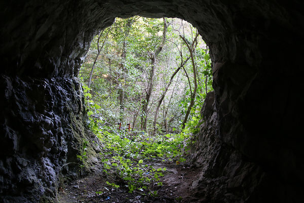 Clicca per vedere l'immagine alla massima grandezza