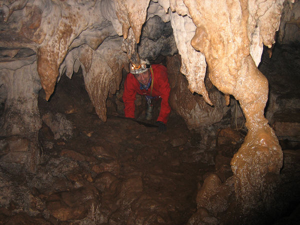 Clicca per vedere l'immagine alla massima grandezza