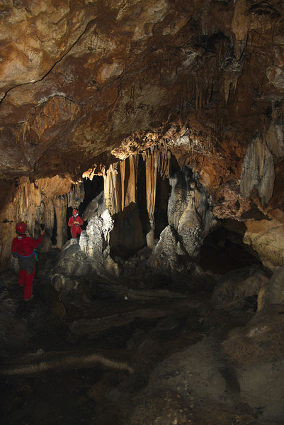 Clicca per vedere l'immagine alla massima grandezza