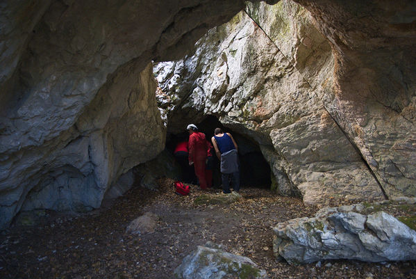 Clicca per vedere l'immagine alla massima grandezza