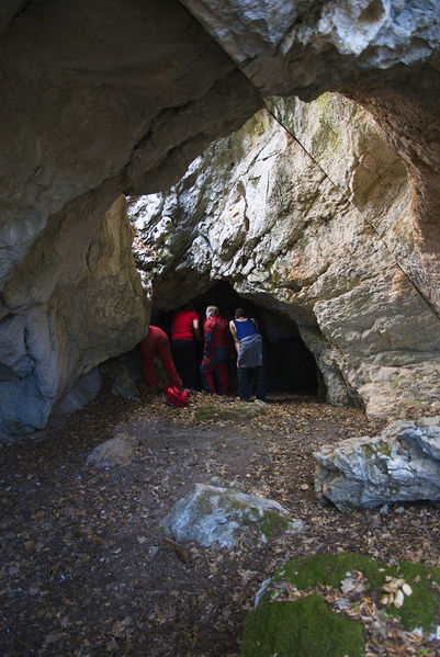 Clicca per vedere l'immagine alla massima grandezza