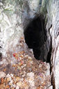 cavernetta_della_vipera_005_260116.JPG