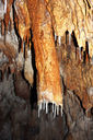 grotta_a_S_del_casello_ferroviario_di_fernetti_026_629_3304_Vg_121018.JPG