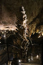 grotta_gigante_146_020416.JPG