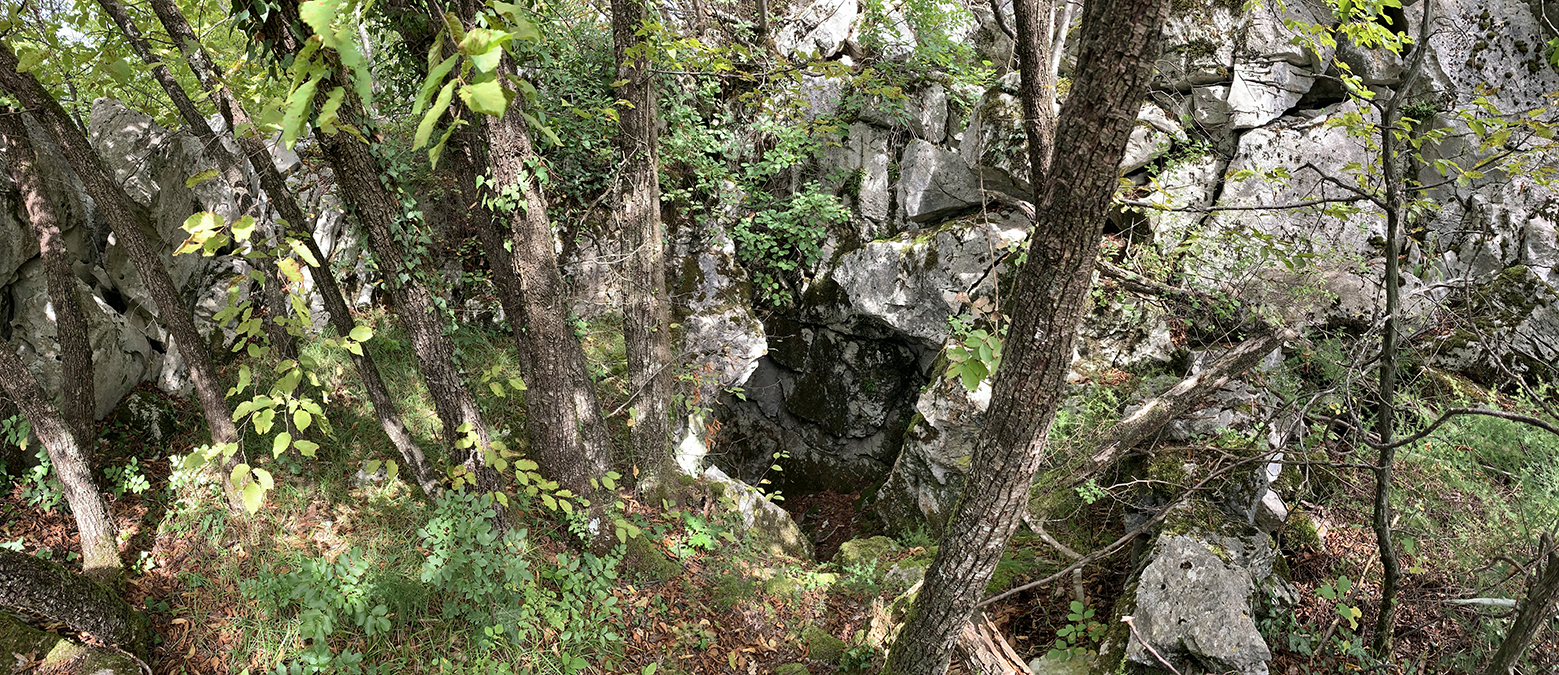 1332_4282_Vg_grotta_delle_ossa_002_061019.JPG