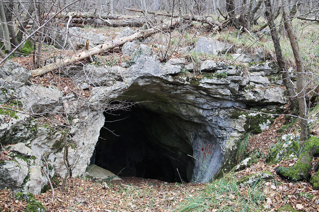 grotta_sul_monte_cocusso_751_3934_Vg_004_141216.JPG