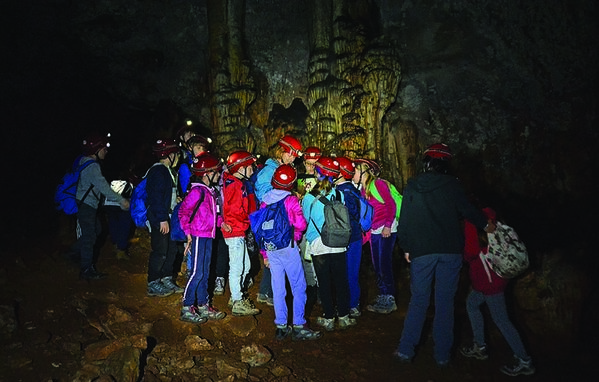 Clicca per vedere l'immagine alla massima grandezza