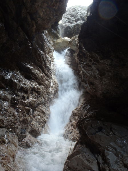 Clicca per vedere l'immagine alla massima grandezza