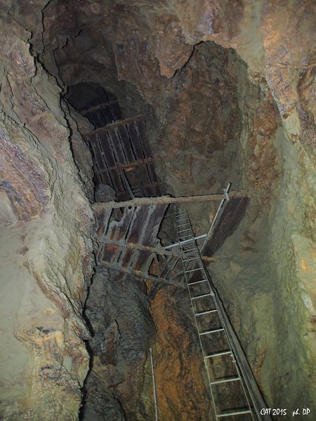 Clicca per vedere l'immagine alla massima grandezza