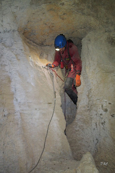 Clicca per vedere l'immagine alla massima grandezza