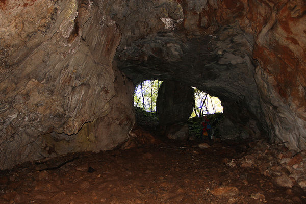 Clicca per vedere l'immagine alla massima grandezza