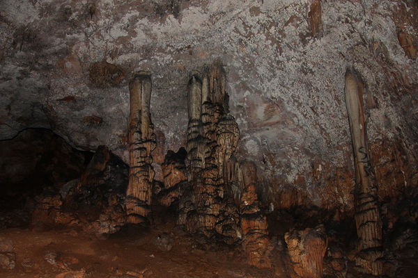 Clicca per vedere l'immagine alla massima grandezza