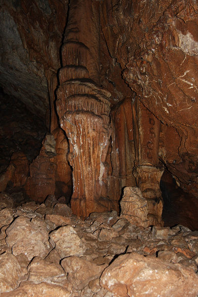 Clicca per vedere l'immagine alla massima grandezza