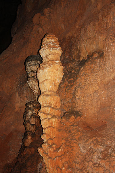 Clicca per vedere l'immagine alla massima grandezza