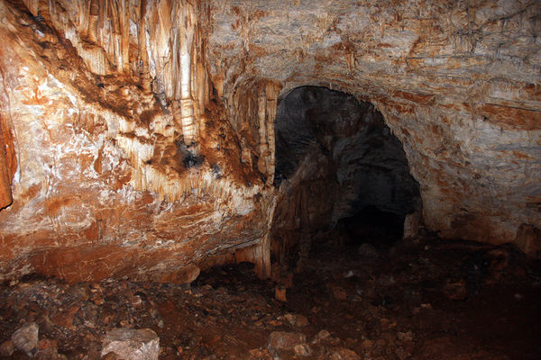 Clicca per vedere l'immagine alla massima grandezza