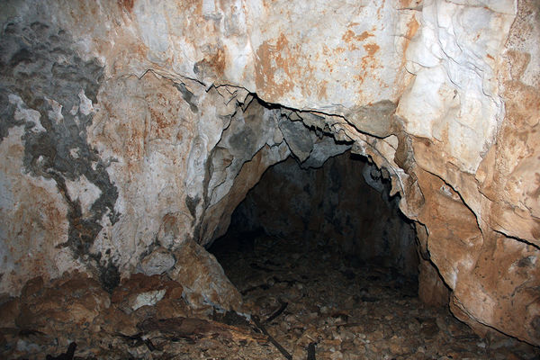 Clicca per vedere l'immagine alla massima grandezza